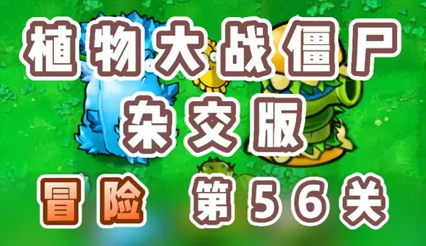 植物大战僵尸杂交版冒险第56关通关详细教程